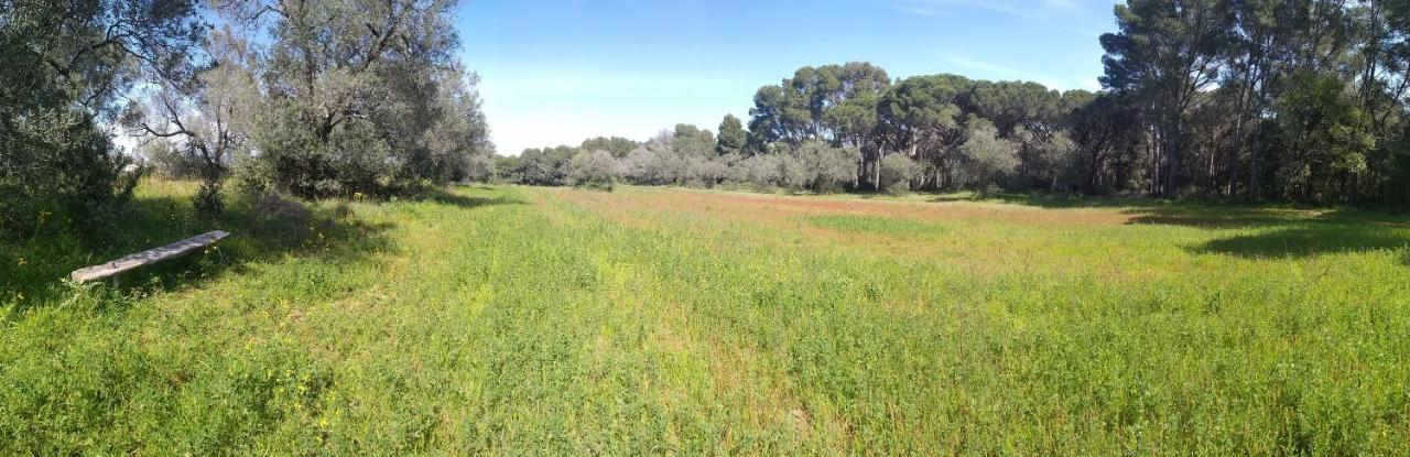 Can Costals Naturaleza Pals Exterior photo